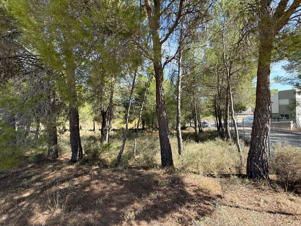 Helårsgrund i Barranda, Murcia - foto 5